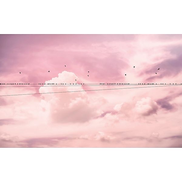 Komar Vliestapete »Digitaldruck Vlies - Cloud Wire - Größe 400 x 250 cm«, b günstig online kaufen