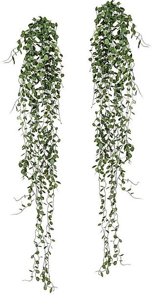 Kunstranke Mühlenbeckia-Hänger Mühlenbeckia, Creativ green, Höhe 80 cm, 2er günstig online kaufen