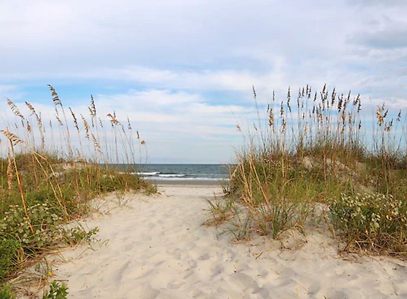 Papermoon Fototapete »Dunes Huntington Beach« glatt günstig online kaufen