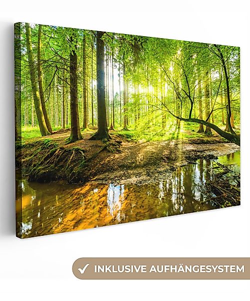 OneMillionCanvasses® Leinwandbild Wald - Landschaft - günstig online kaufen