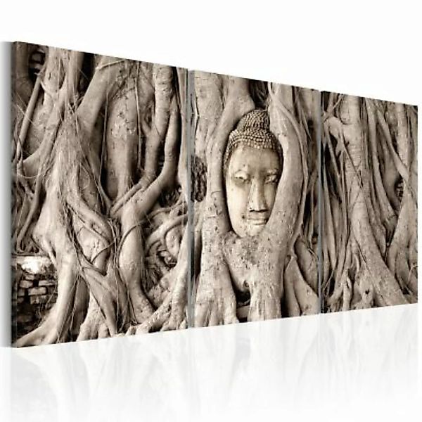 artgeist Wandbild Meditation's Tree braun Gr. 60 x 30 günstig online kaufen