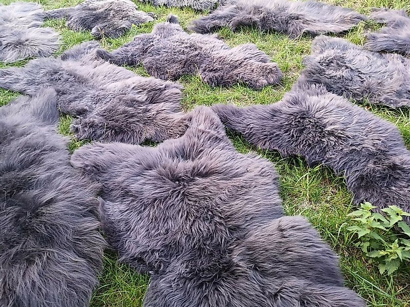 Provellus Fellteppich Öko Schaffell Lammfell Grau 2. Wahl Bis 140 cm Unikat günstig online kaufen