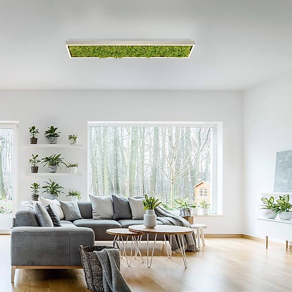 JUST LIGHT Deckenleuchte »GREEN KNUT«, 1 flammig, Leuchtmittel LED-Board günstig online kaufen