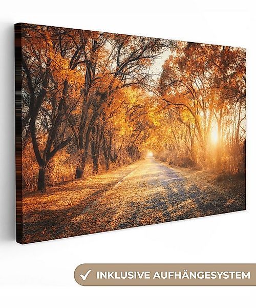 OneMillionCanvasses® Leinwandbild Wald - Herbst - Bäume - Weg - Natur, Foto günstig online kaufen