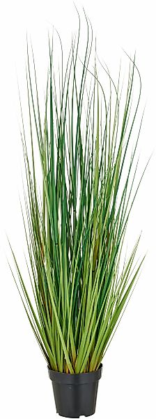 Creativ green Kunstgras "Grasbusch Miscanthus" mit naturgetreuen Grashalmen günstig online kaufen