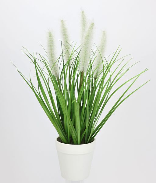 Kunstpflanze Fuchsschwanzgras im Topf, I.GE.A., Höhe günstig online kaufen