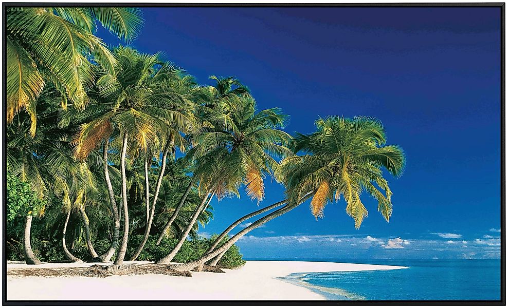 Papermoon Infrarotheizung »Tropische Palmen« günstig online kaufen
