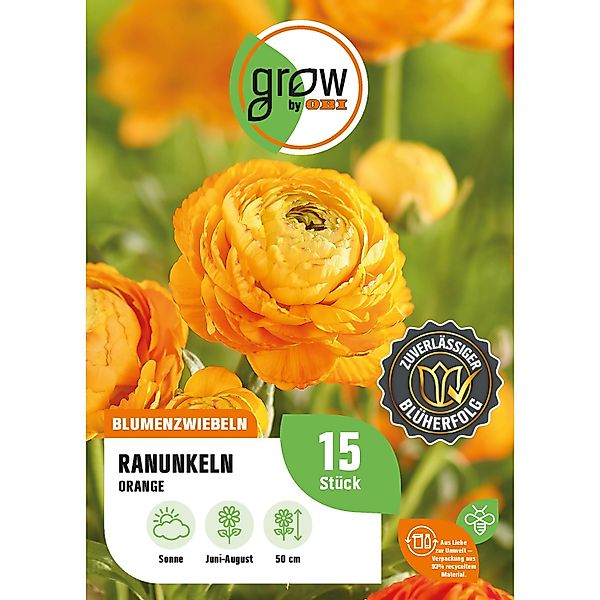 GROW by OBI Ranunkel Asiatisch Orange Höhe ca. 50 cm Ranuculus asiaticus günstig online kaufen