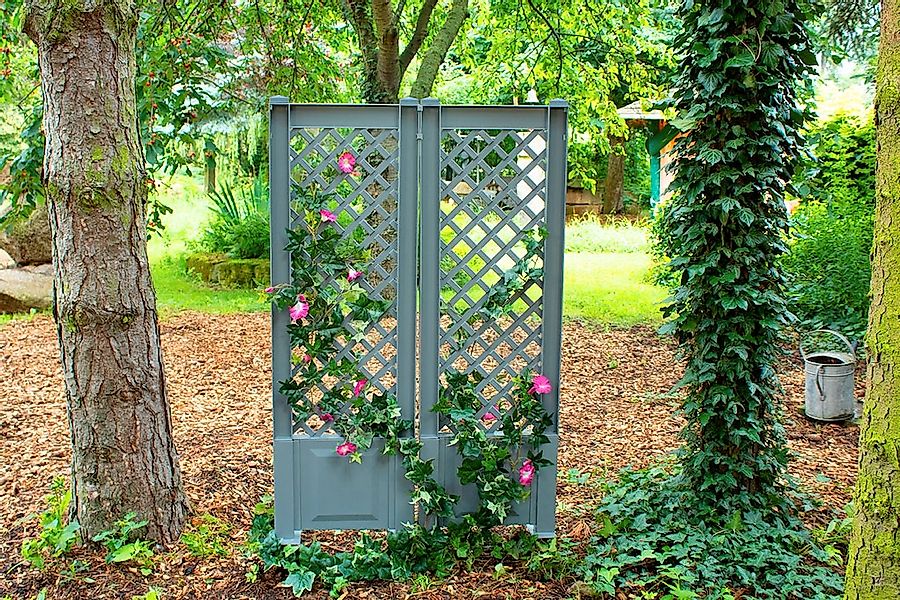 KHW Rankgitter, (2 St.), mit Erdspieß, 2 Stk., BxTxH: je 43x6x140 cm günstig online kaufen