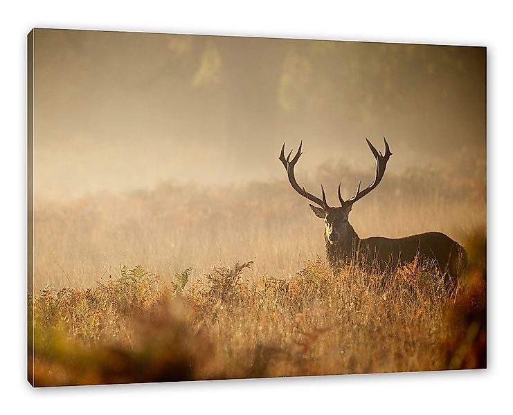 Pixxprint Leinwandbild Rotwild Hirsch im Nebel, Rotwild Hirsch im Nebel (1 günstig online kaufen