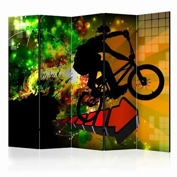artgeist Paravent Bicycle Tricks II [Room Dividers] mehrfarbig Gr. 225 x 17 günstig online kaufen