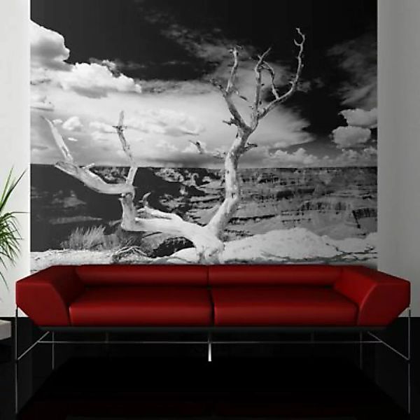 artgeist Fototapete Baum mit Grand Canyon im Hintergrund schwarz/weiß Gr. 2 günstig online kaufen