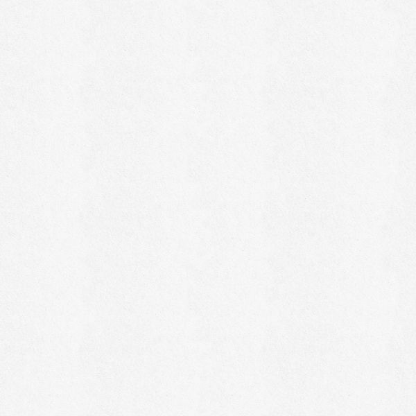 Isoliertapete "Fresco Renovliestapete Weiss 25mx1m (180g/m2)" uni Fresco Re günstig online kaufen