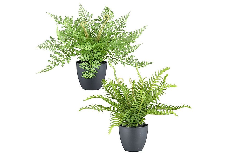 Kunstpflanze Farn, Creativ green, Höhe 25 cm, mit naturgtreuen Farnwedeln günstig online kaufen