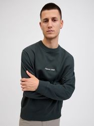 Jack & Jones Sweatshirt JORNORREBRO EMB günstig online kaufen