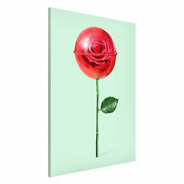 Magnettafel - Hochformat 2:3 Rose mit Lollipop günstig online kaufen