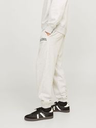 Jack & Jones Sweathose JPSTKANE JJCALEB günstig online kaufen