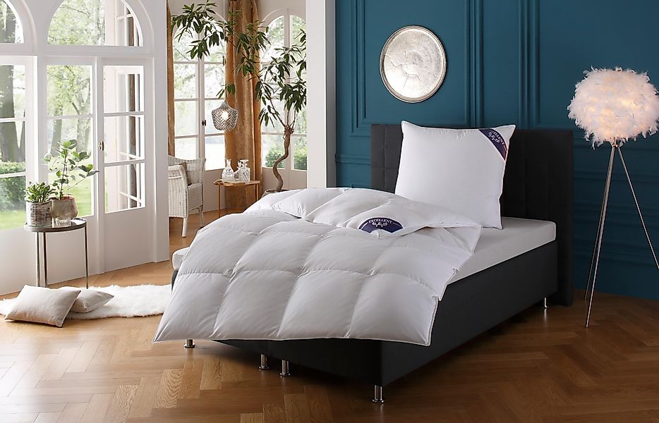 Excellent Daunenbettdecke + Federkissen Bettdecken-Set Zürich, günstig online kaufen