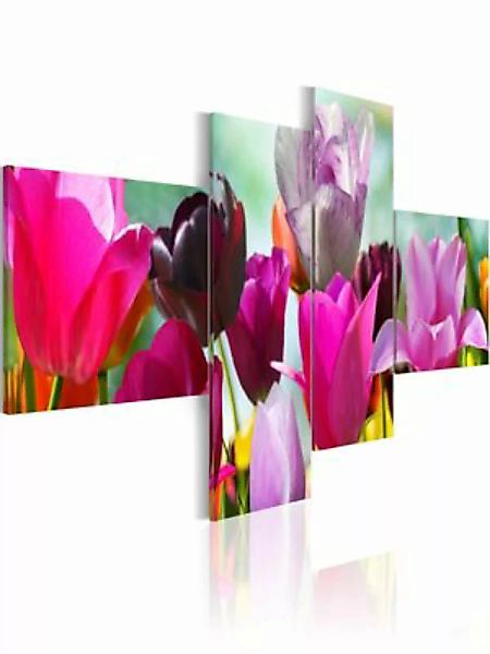 artgeist Wandbild Charme pinker Tulpen mehrfarbig Gr. 200 x 90 günstig online kaufen