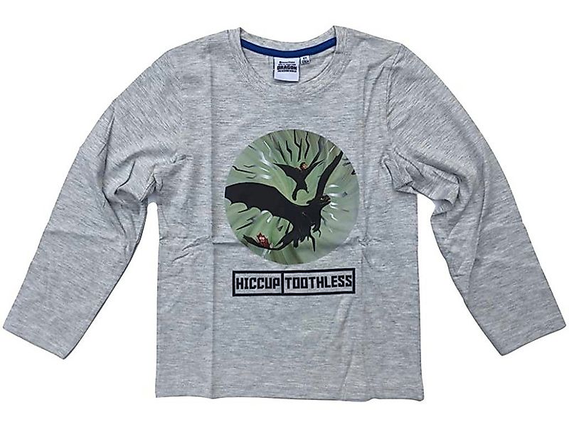 DreamWorks Langarmshirt Dragons Langarmshirt günstig online kaufen