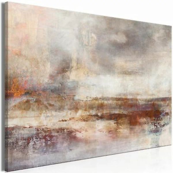 artgeist Wandbild Transience (1 Part) Wide grau/braun Gr. 60 x 40 günstig online kaufen