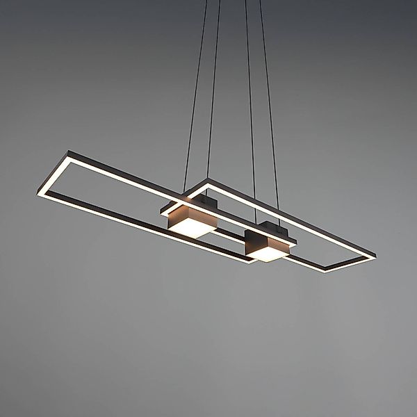 TRIO Leuchten LED Pendelleuchte »ALBANY, LED Hängelampe Wohnzimmer mit Fern günstig online kaufen