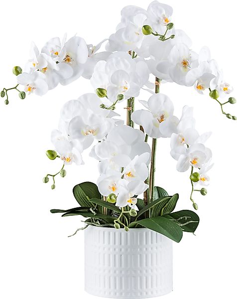 Kunstorchidee Orchidee Phalaenopsis, Creativ green, Höhe günstig online kaufen