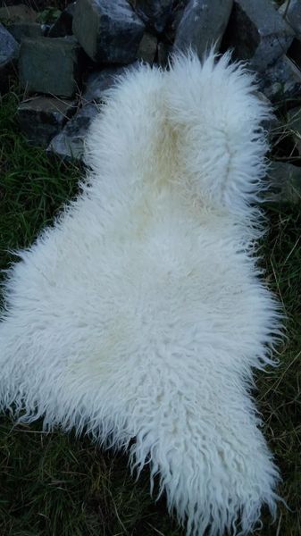 Provellus Fellteppich Island Schaffell Lockig Lammfell günstig online kaufen
