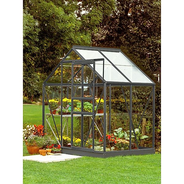 Vitavia Gewächshaus Venus 2500 Schwarz 2,5 m² günstig online kaufen