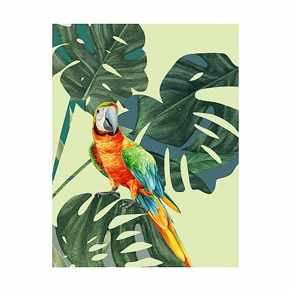 Komar Wandbild Green-Winged Macaw günstig online kaufen