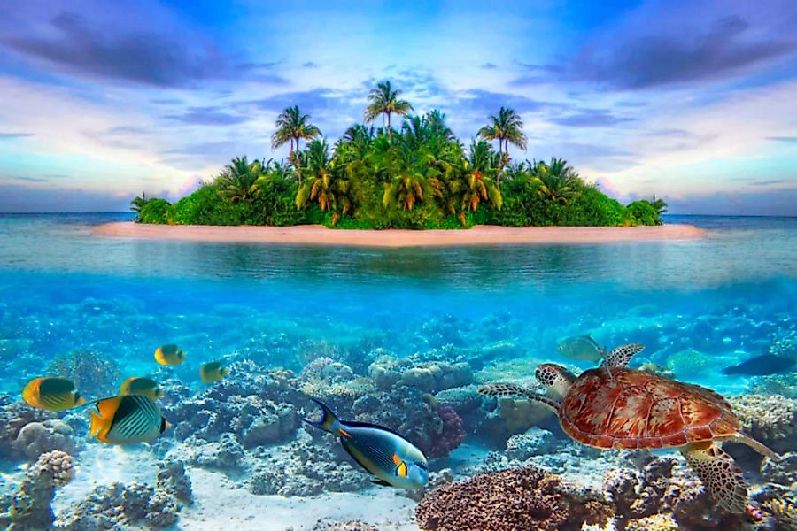 Papermoon Fototapete »Marine Life Maldives« günstig online kaufen