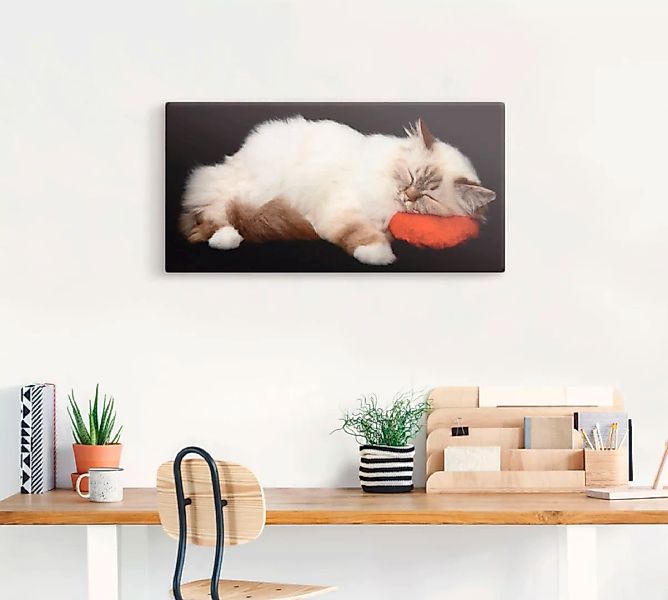 Artland Wandbild "Müde Katze", Haustiere, (1 St.), als Leinwandbild, Poster günstig online kaufen