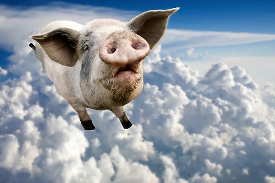 Papermoon Fototapete »Fliegendes Schwein« günstig online kaufen
