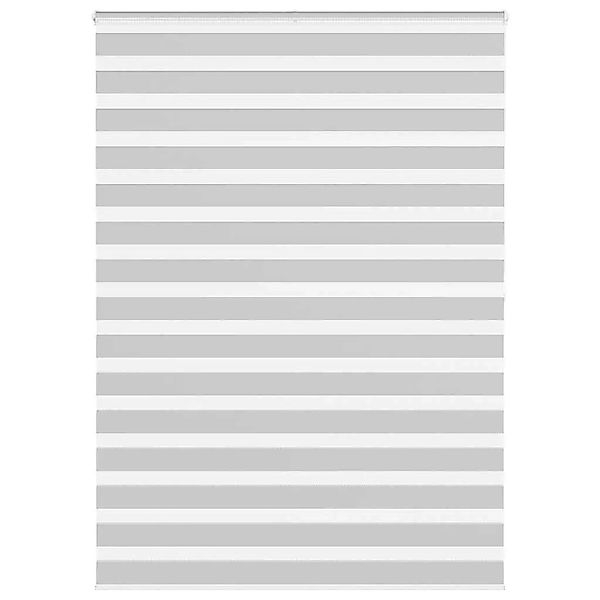 vidaXL Doppelrollo Hellgrau 155x200 cm Stoffbreite 150,9 cm Polyester 40144 günstig online kaufen