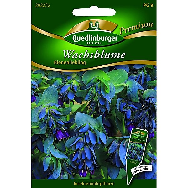 Quedlinburger Wachsblumen Bienenliebling günstig online kaufen