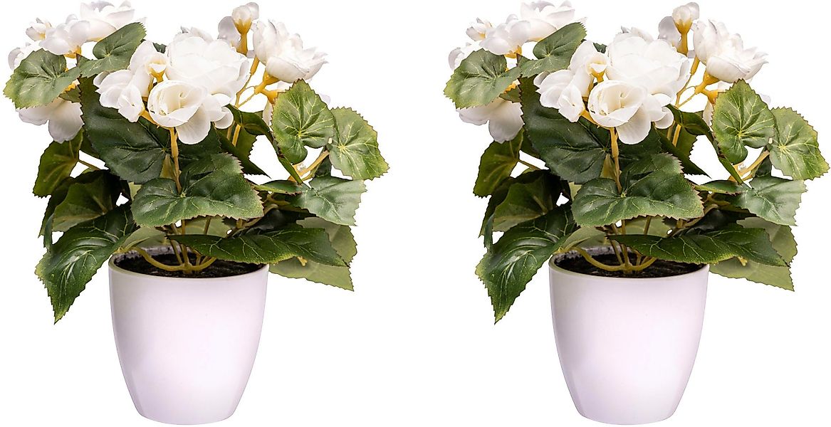 Kunstblume Begonienbusch Begonie, Creativ green, Höhe günstig online kaufen