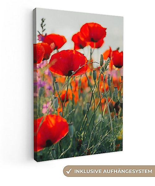 OneMillionCanvasses® Leinwandbild Mohn - Blumen - Rot - Lila - Wiese, Fotod günstig online kaufen