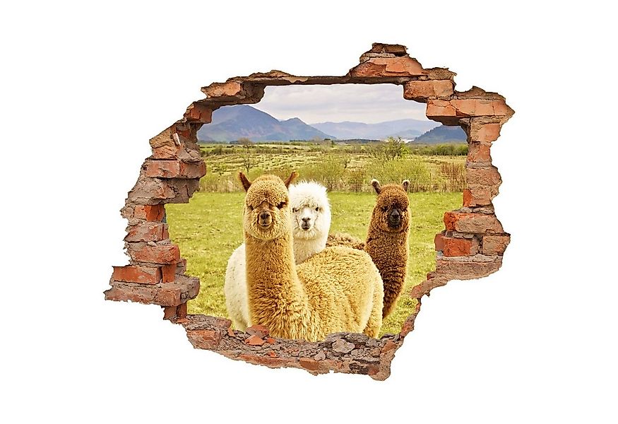 WallSpirit Wandtattoo Wanddurchbruch "Alpaka", Selbstklebend, rückstandslos günstig online kaufen