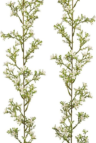 Kunstgirlande Jasmingirlande, Creativ green, 2er Set günstig online kaufen