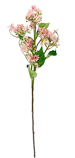 I.GE.A. Kunstblume "Blütenzweig" günstig online kaufen