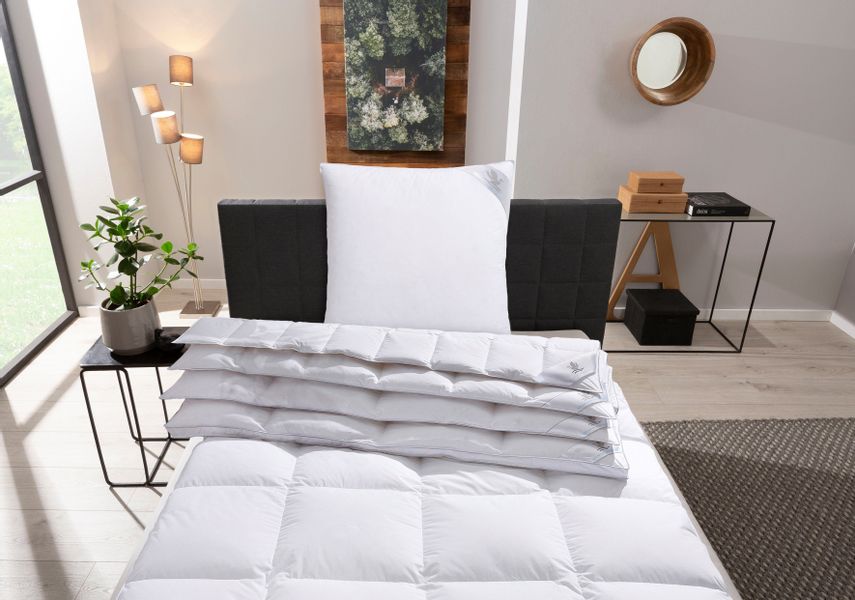 Otto Keller Daunenbettdecke "STARLIGHT für jede Saison die richtige Bettdec günstig online kaufen