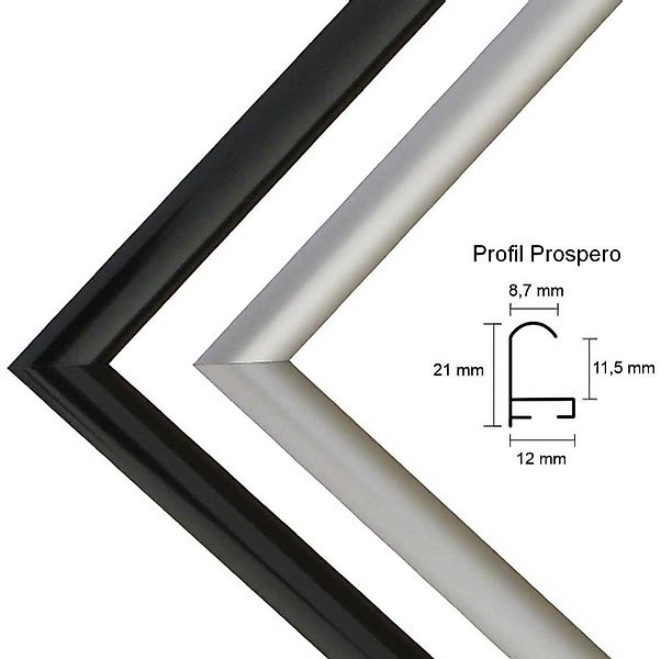 myposterframe Einzelrahmen Bilderrahmen Prospero, (1 Stück), 60x120 cm, Sil günstig online kaufen