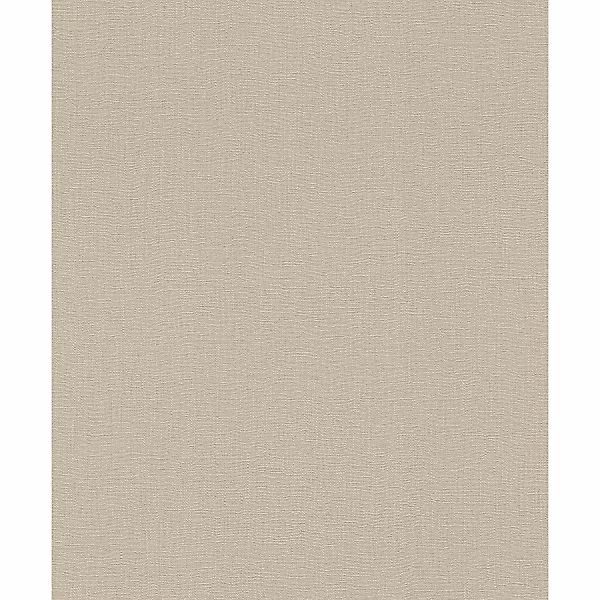 Rasch Vliestapete Barbara Home Coll. III 560077 Uni Beige 10,05x0,53 m günstig online kaufen