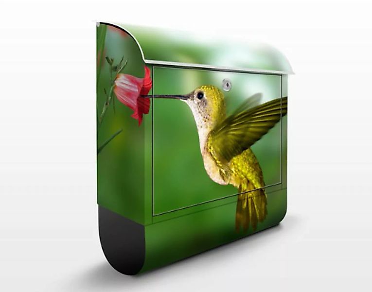 Briefkasten Tiere Kolibri und Blüte günstig online kaufen