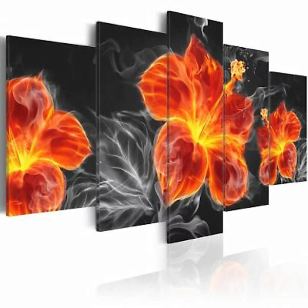 artgeist Wandbild Fire Lily mehrfarbig Gr. 200 x 100 günstig online kaufen