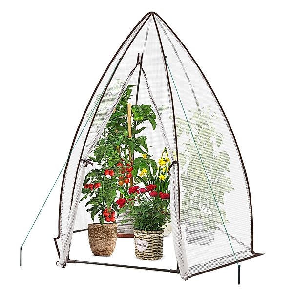 Sekey Foliengewächshaus 160 x 160 x günstig online kaufen