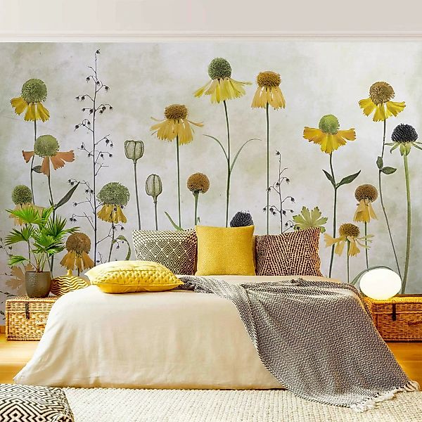 Fototapete Zarte Helenium Blüten günstig online kaufen