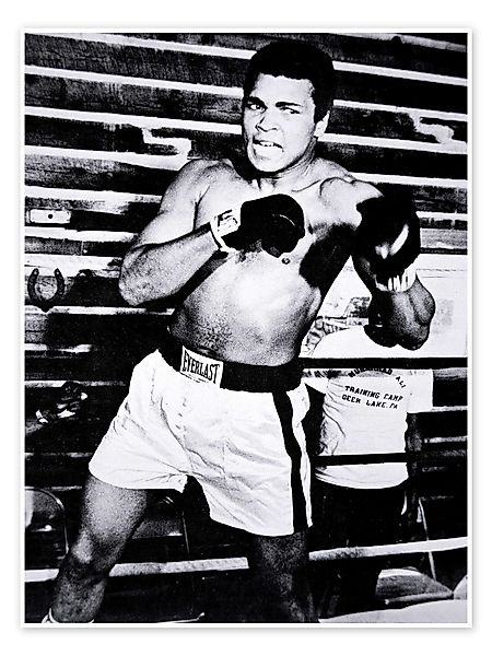 Posterlounge Poster Bridgeman Images, Muhammad Ali, günstig online kaufen
