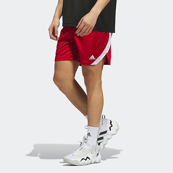 adidas Performance Trainingsshorts M ICON SQUAD günstig online kaufen