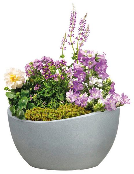Scheurich Pflanzschale Wave Globe Bowl Ø 39 cm Stony Grey günstig online kaufen